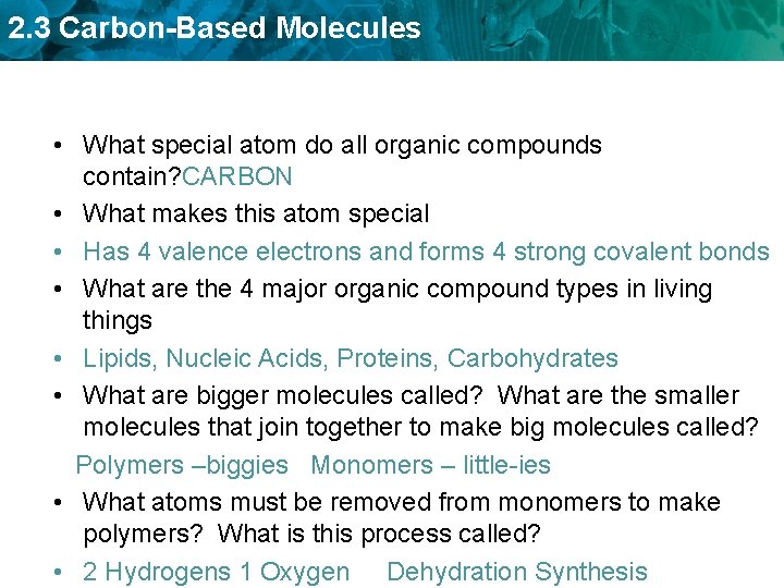 2. 3 Carbon-Based Molecules • What special atom do all organic compounds contain? CARBON