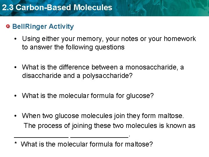 2. 3 Carbon-Based Molecules Bell. Ringer Activity • Using either your memory, your notes