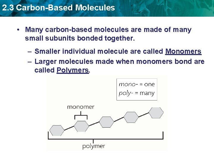 2. 3 Carbon-Based Molecules • Many carbon-based molecules are made of many small subunits