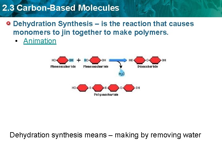 2. 3 Carbon-Based Molecules Dehydration Synthesis – is the reaction that causes monomers to