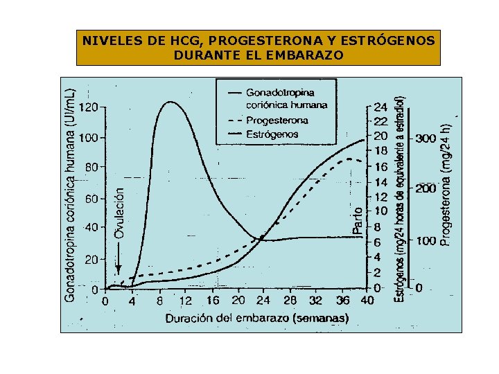 NIVELES DE HCG, PROGESTERONA Y ESTRÓGENOS DURANTE EL EMBARAZO 
