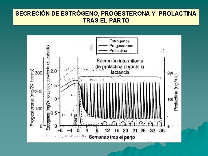 SECRECIÓN DE ESTRÓGENO, PROGESTERONA Y PROLACTINA TRAS EL PARTO 