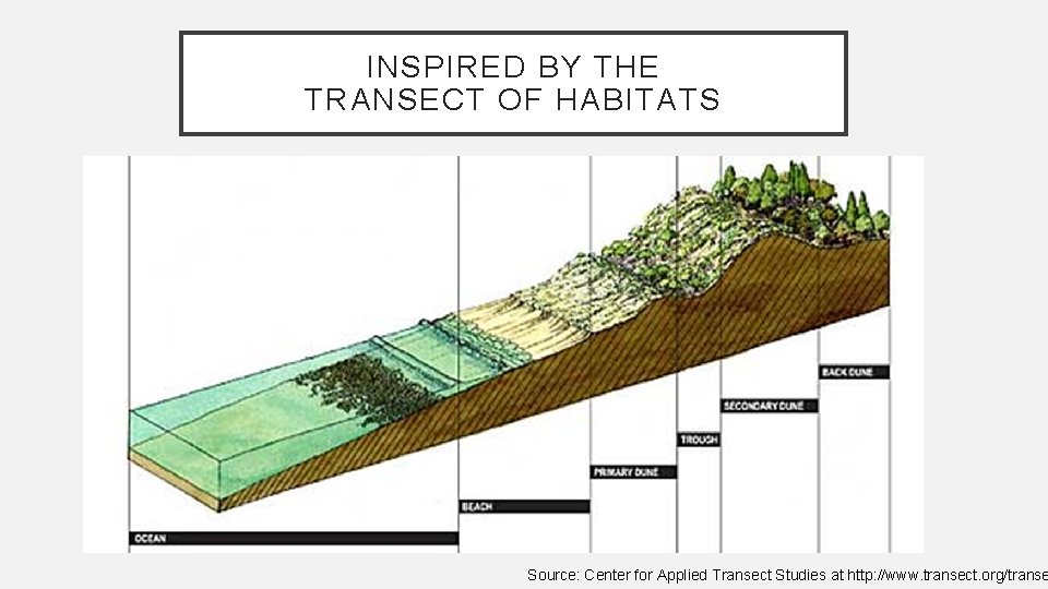 INSPIRED BY THE TRANSECT OF HABITATS Source: Center for Applied Transect Studies at http: