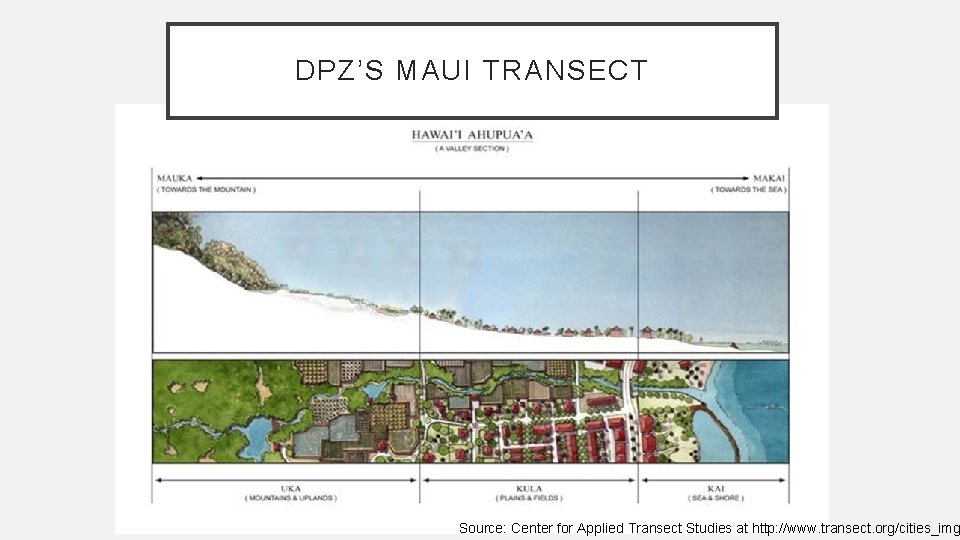 DPZ’S MAUI TRANSECT Source: Center for Applied Transect Studies at http: //www. transect. org/cities_img