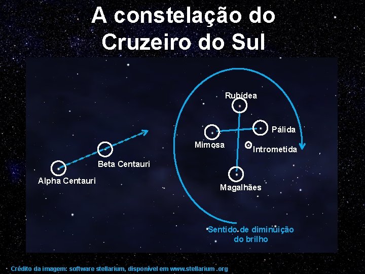 A constelação do Cruzeiro do Sul Rubídea Pálida Mimosa Intrometida Beta Centauri Alpha Centauri