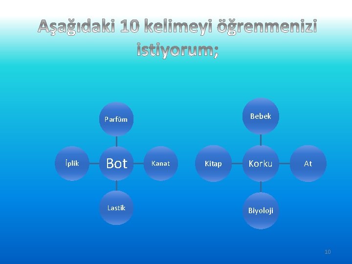 Bebek Parfüm İplik Bot Lastik Kanat Kitap Korku At Biyoloji 10 