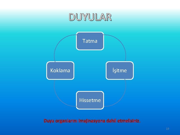 DUYULAR Tatma Koklama İşitme Hissetme Duyu organlarını imajinasyona dahil etmelisiniz. 19 