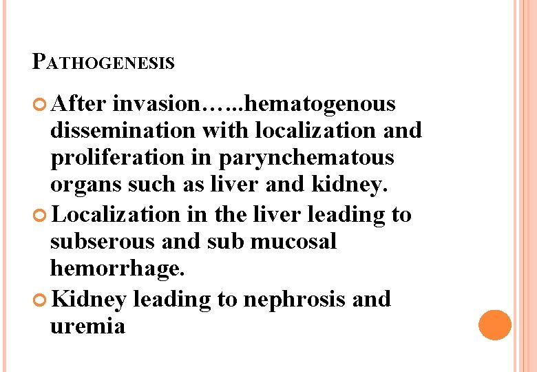 PATHOGENESIS After invasion…. . . hematogenous dissemination with localization and proliferation in parynchematous organs