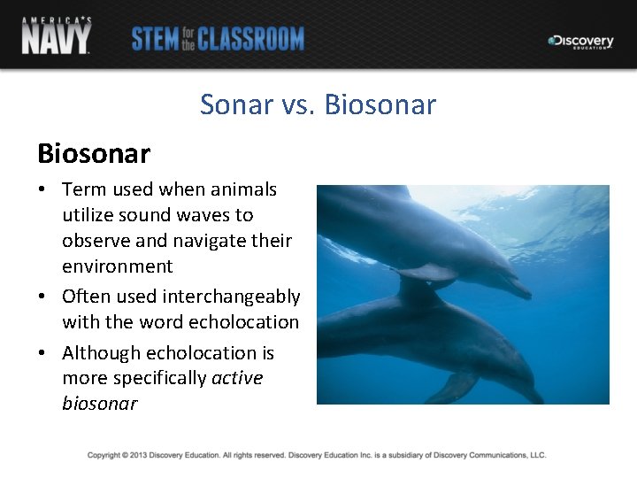 Sonar vs. Biosonar • Term used when animals utilize sound waves to observe and
