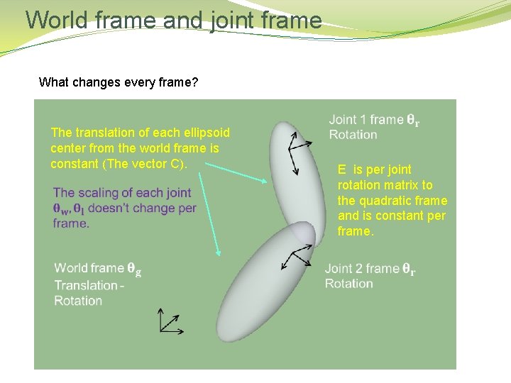 World frame and joint frame What changes every frame? The translation of each ellipsoid