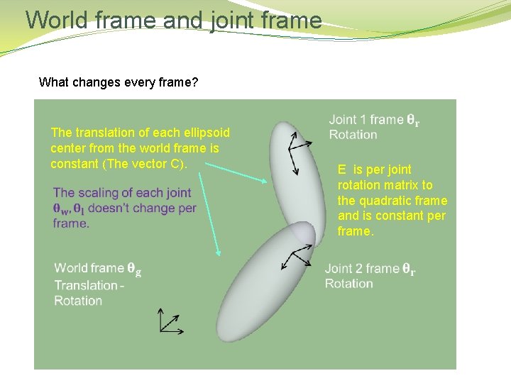 World frame and joint frame What changes every frame? The translation of each ellipsoid World frame and joint frame What changes every frame? The translation of each ellipsoid