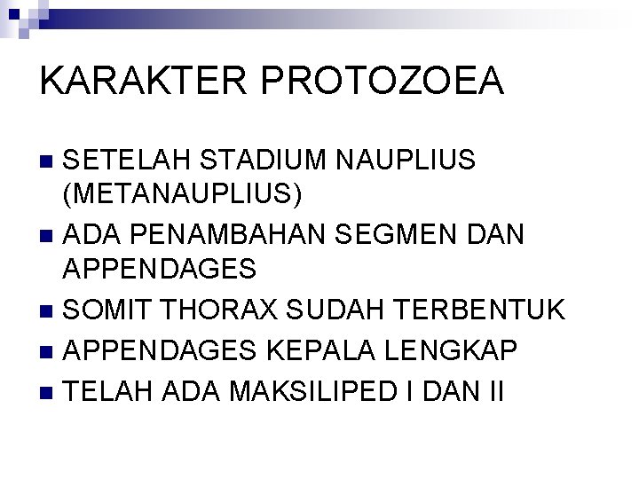 KARAKTER PROTOZOEA SETELAH STADIUM NAUPLIUS (METANAUPLIUS) n ADA PENAMBAHAN SEGMEN DAN APPENDAGES n SOMIT