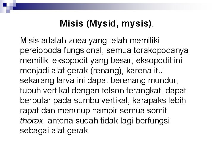 Misis (Mysid, mysis). Misis adalah zoea yang telah memiliki pereiopoda fungsional, semua torakopodanya memiliki