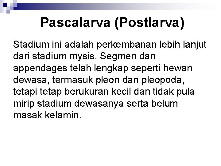 Pascalarva (Postlarva) Stadium ini adalah perkembanan lebih lanjut dari stadium mysis. Segmen dan appendages