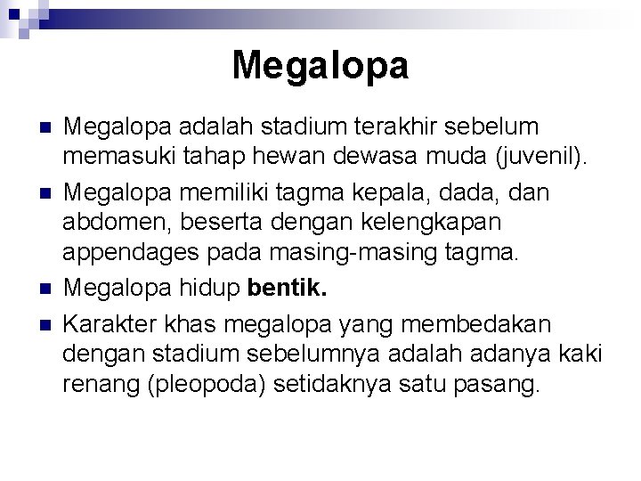 Megalopa n n Megalopa adalah stadium terakhir sebelum memasuki tahap hewan dewasa muda (juvenil).