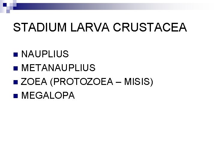 STADIUM LARVA CRUSTACEA NAUPLIUS n METANAUPLIUS n ZOEA (PROTOZOEA – MISIS) n MEGALOPA n