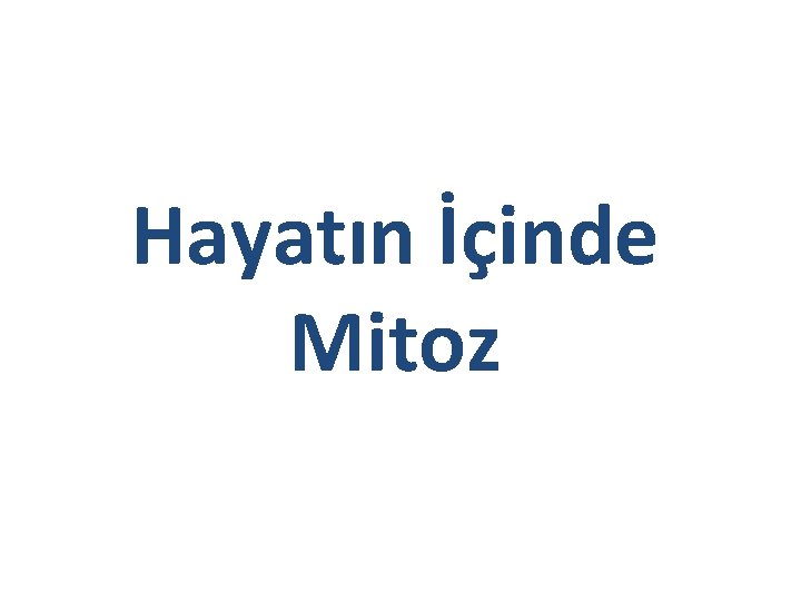 Hayatın İçinde Mitoz 