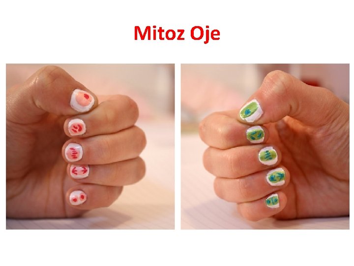 Mitoz Oje 