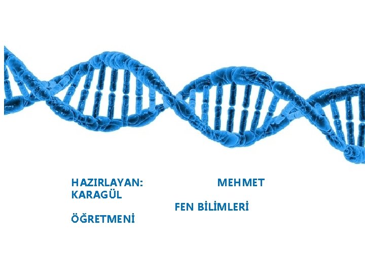 HAZIRLAYAN: KARAGÜL ÖĞRETMENİ MEHMET FEN BİLİMLERİ 