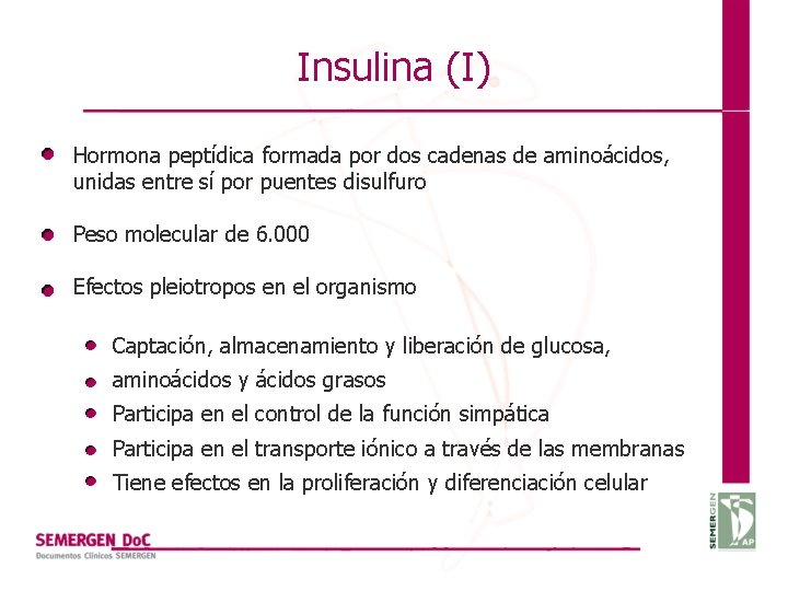 Insulina (I) Hormona peptídica formada por dos cadenas de aminoácidos, unidas entre sí por