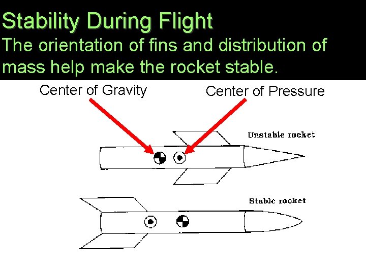 Stability During Flight The orientation of fins and distribution of mass help make the
