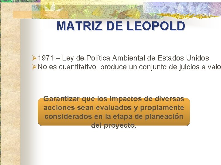 MATRIZ DE LEOPOLD Ø 1971 – Ley de Política Ambiental de Estados Unidos ØNo