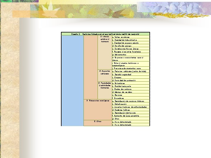 Cuadro 2. Factores listados en el eje vertical de la matriz de Leopold. 3.