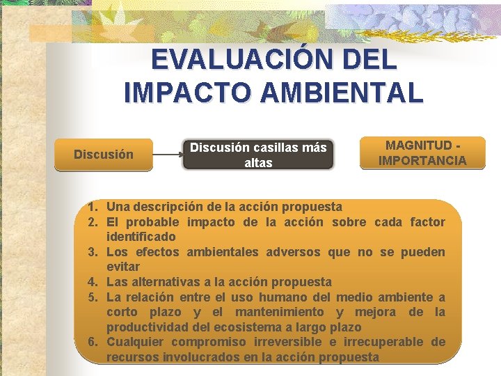 EVALUACIÓN DEL IMPACTO AMBIENTAL Discusión casillas más altas MAGNITUD IMPORTANCIA 1. Una descripción de