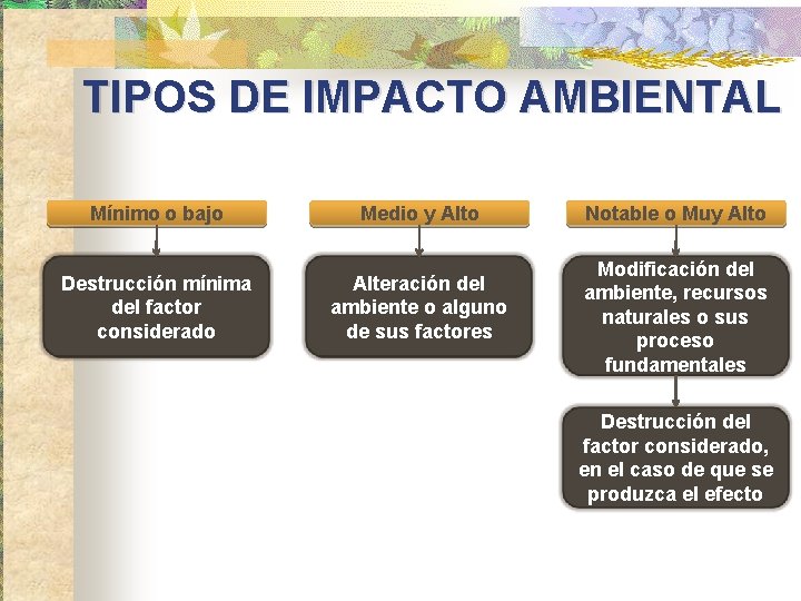 TIPOS DE IMPACTO AMBIENTAL Mínimo o bajo Destrucción mínima del factor considerado Medio y