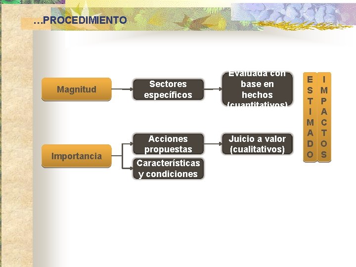 …PROCEDIMIENTO Magnitud Importancia Sectores específicos Evaluada con base en hechos (cuantitativos) Acciones propuestas Juicio