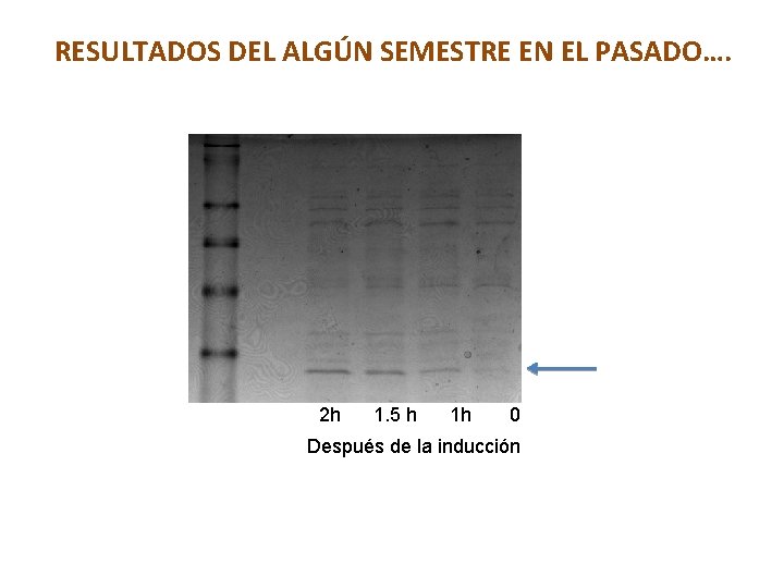 RESULTADOS DEL ALGÚN SEMESTRE EN EL PASADO…. 2 h 1. 5 h 1 h