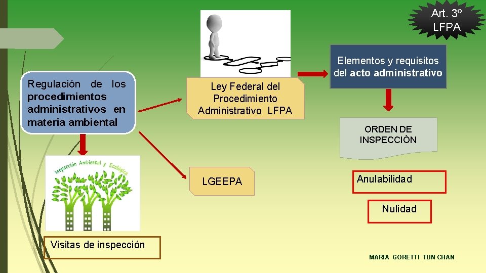 Art. 3º LFPA Regulación de los procedimientos administrativos en materia ambiental Elementos y requisitos