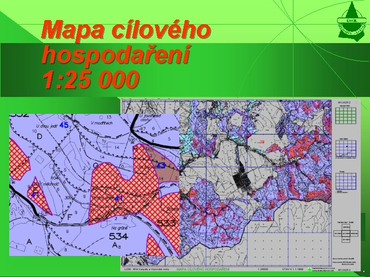 Mapa cílového hospodaření 1: 25 000 . 