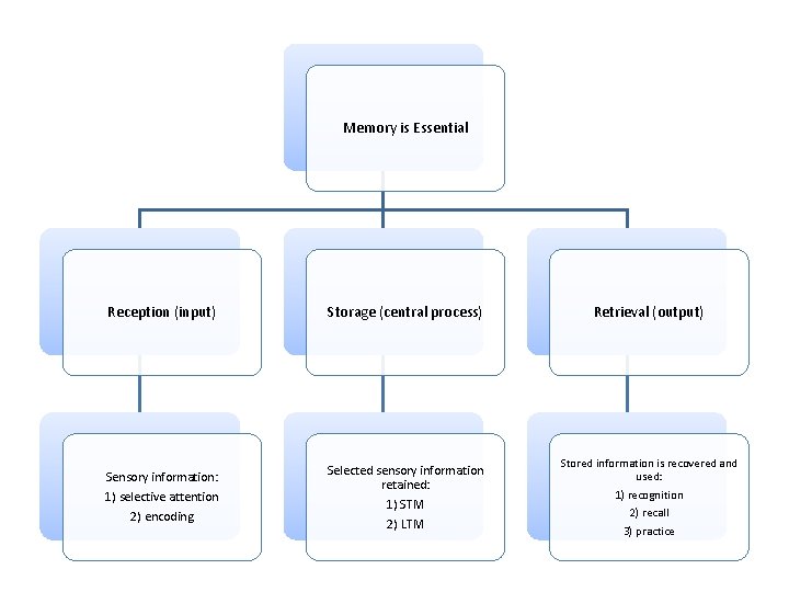 Memory is Essential Reception (input) Storage (central process) Sensory information: 1) selective attention 2)