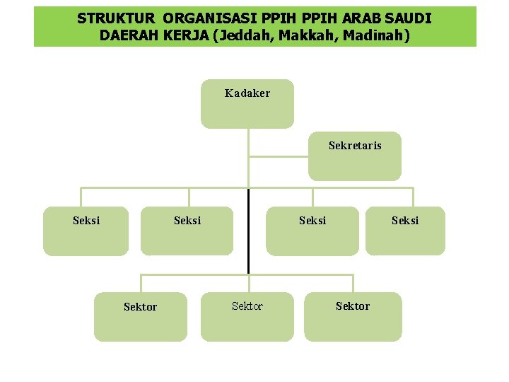 STRUKTUR ORGANISASI PPIH ARAB SAUDI DAERAH KERJA (Jeddah, Makkah, Madinah) Kadaker Sekretaris Seksi Sektor