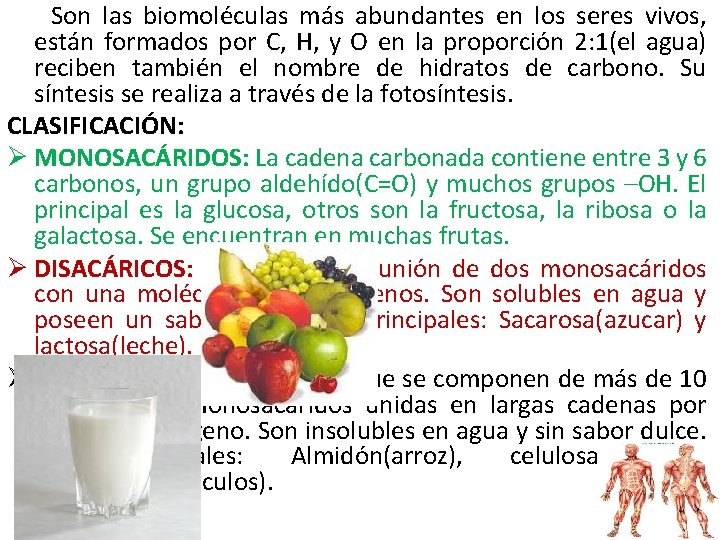 Son las biomoléculas más abundantes en los seres vivos, están formados por C, H, Son las biomoléculas más abundantes en los seres vivos, están formados por C, H,