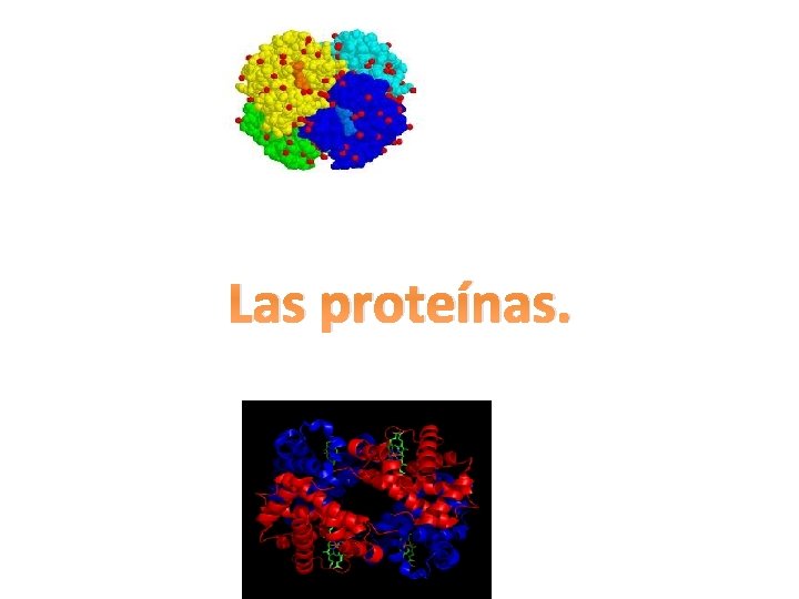 Las proteínas. 