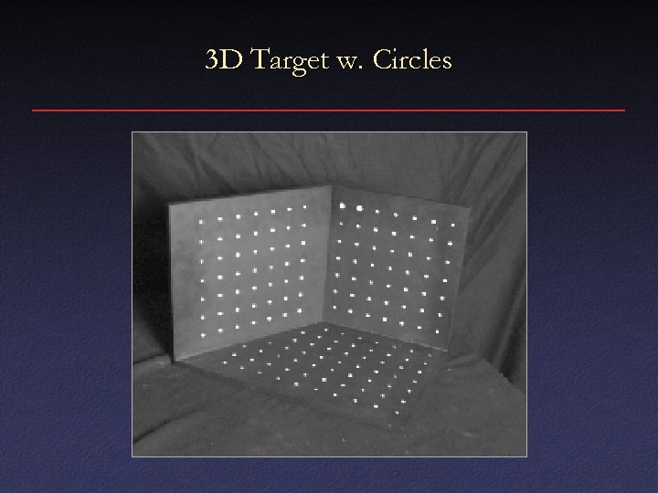 3 D Target w. Circles 