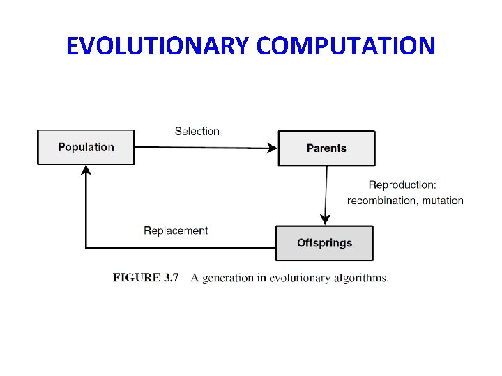 EVOLUTIONARY COMPUTATION 