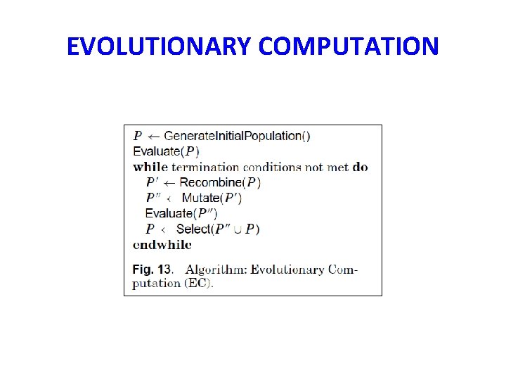 EVOLUTIONARY COMPUTATION 