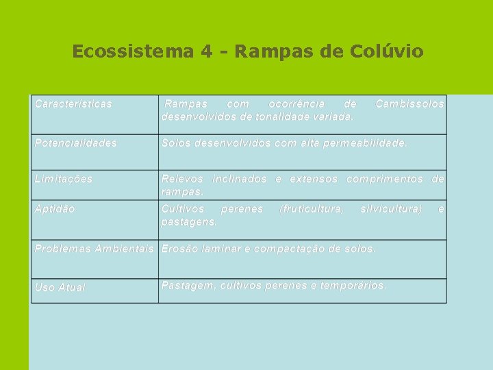 Ecossistema 4 - Rampas de Colúvio 