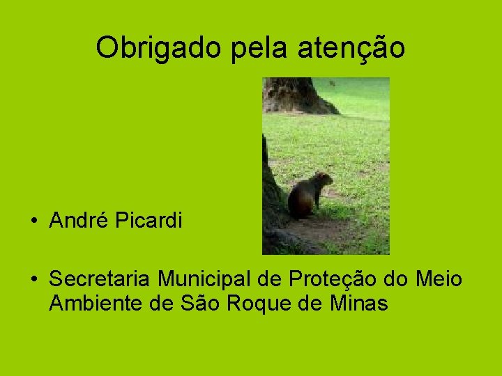 Obrigado pela atenção • André Picardi • Secretaria Municipal de Proteção do Meio Ambiente