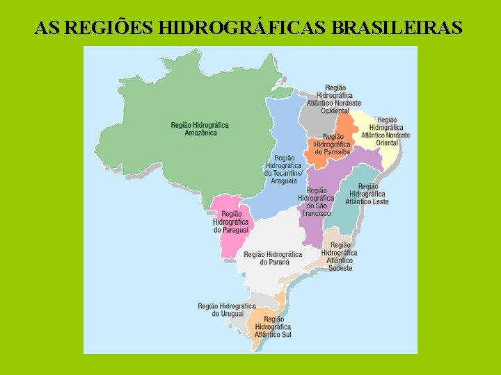 AS REGIÕES HIDROGRÁFICAS BRASILEIRAS 