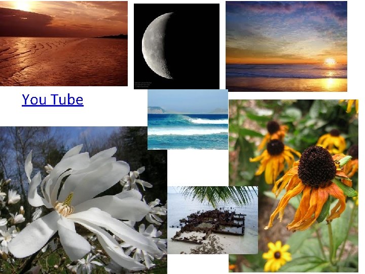 You Tube 
