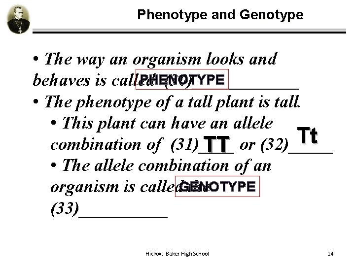 Phenotype and Genotype • The way an organism looks and PHENOTYPE behaves is called