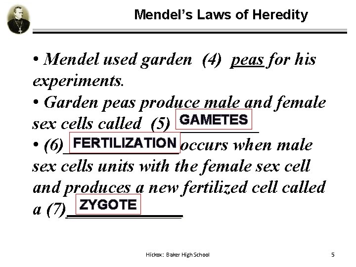 Mendel’s Laws of Heredity • Mendel used garden (4) peas for his experiments. •