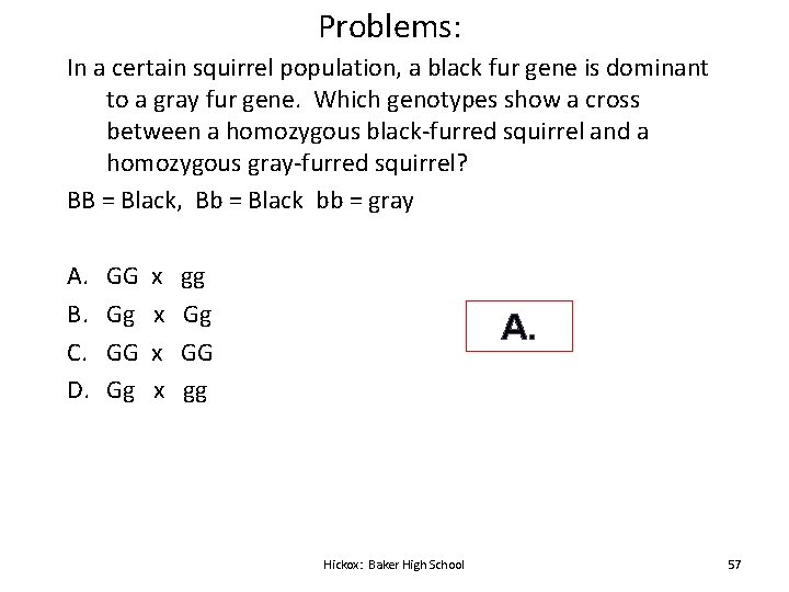 Problems: In a certain squirrel population, a black fur gene is dominant to a