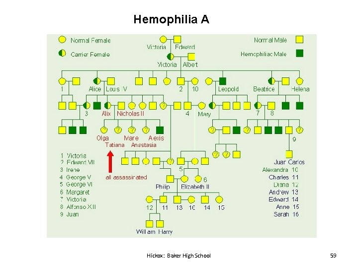 Hemophilia A Hickox: Baker High School 59 