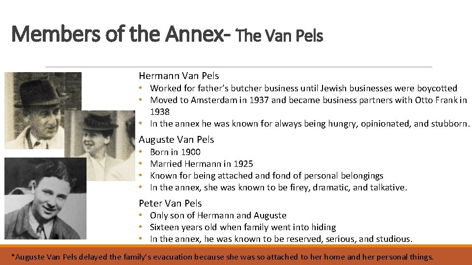 Members of the Annex- The Van Pels Hermann Van Pels • Worked for father’s