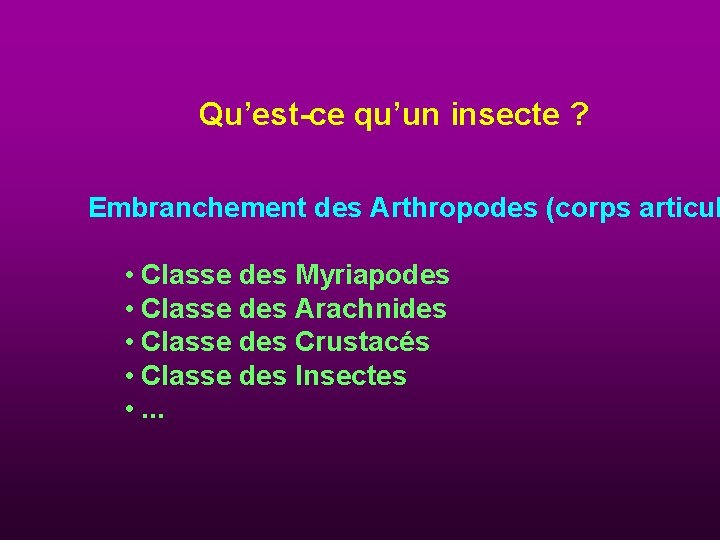 Qu’est-ce qu’un insecte ? Embranchement des Arthropodes (corps articul • Classe des Myriapodes •